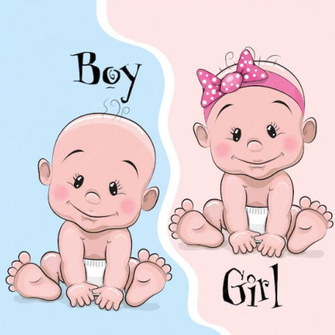 Cartoon babies labeled 'Boy' and 'Girl' on a blue and pink Gender reveal balloon with blue and pink confetti - LAST Balloon Store Lebanon