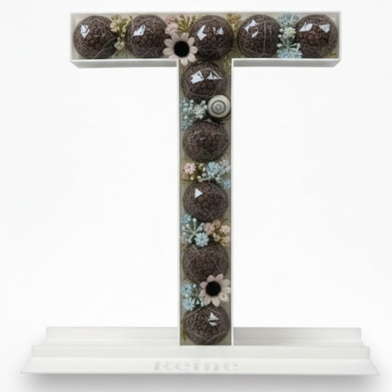 Decorative letter 'T' 